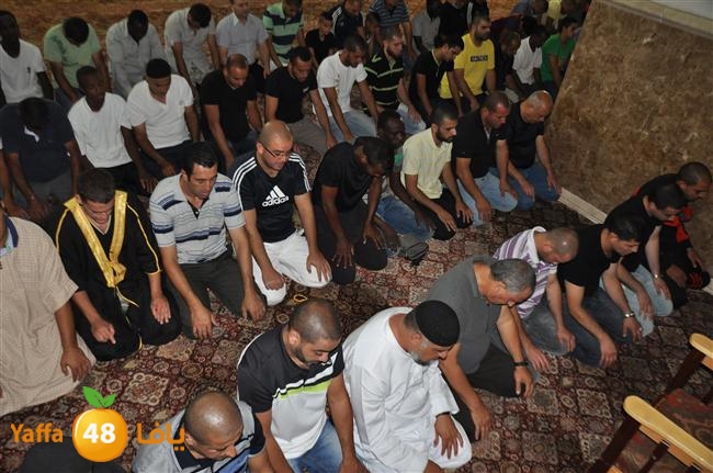 tarawee7 kabeer j (9).JPG